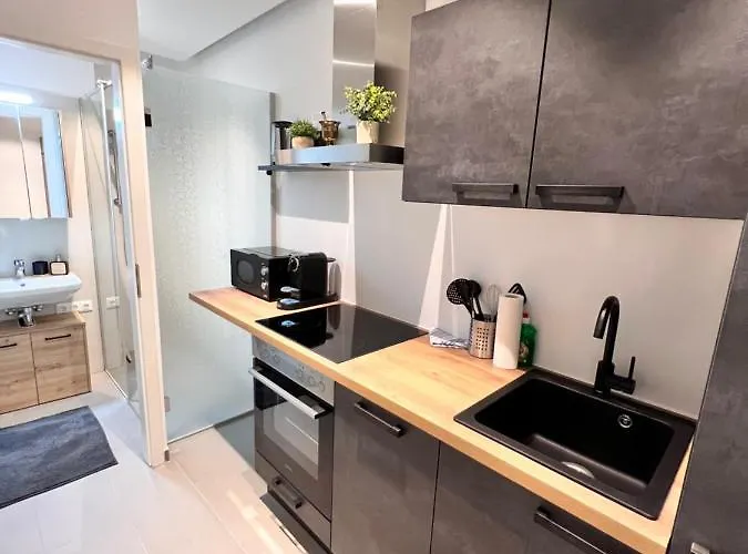 Modern Flat With Two Βιέννη
